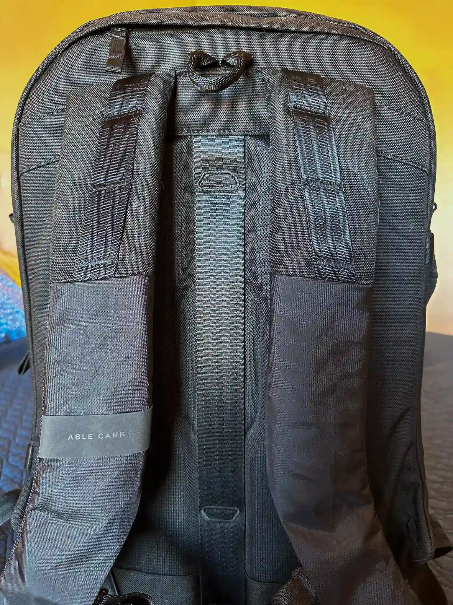 The back panel on the Able Carry Max