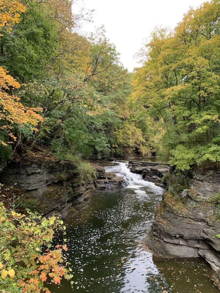 A gorge on Cornell's beautiful campus in the Finger Lakes.